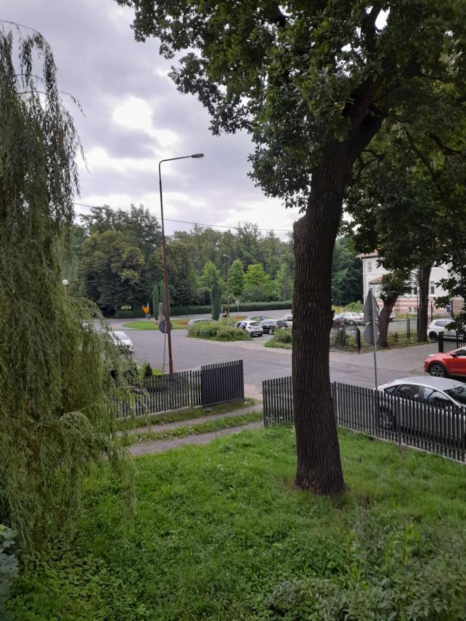Апартаменты Mieszkanie Z Widokiem Na Park -Cieplice Slaskie Zdroj Еленя-Гура Экстерьер фото